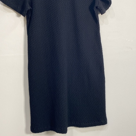 Eileen Fisher Tencel Cotton Dress Medium - Picture 3 of 9